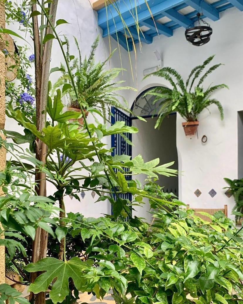 Casa Alborada Guest house *